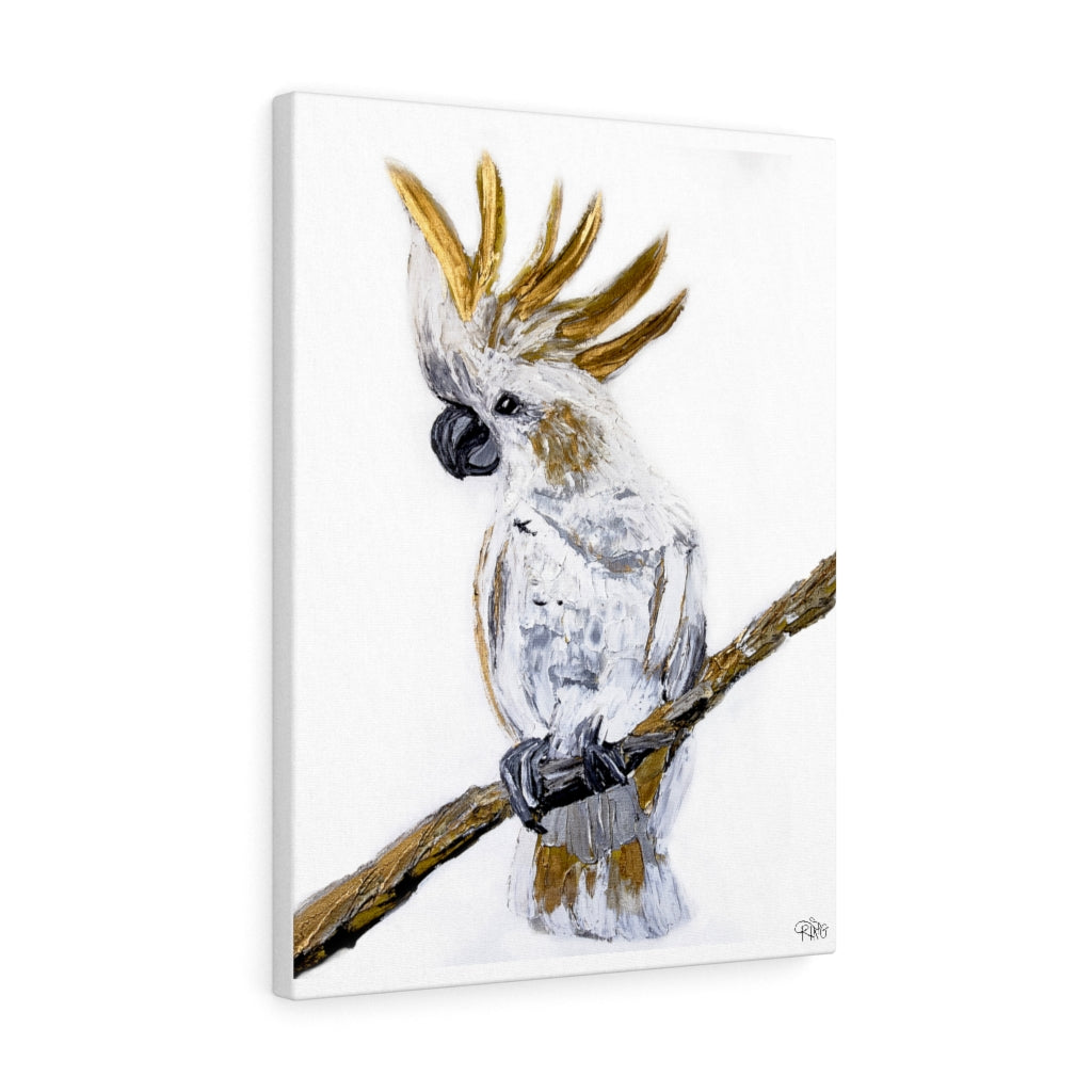 Cockatoo - Canvas Print