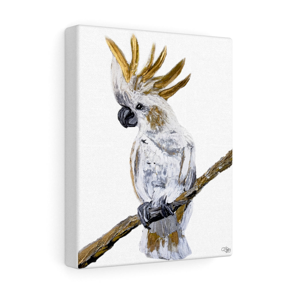 Cockatoo - Canvas Print