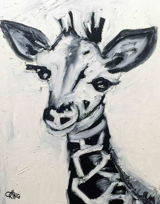 Baby Giraffe