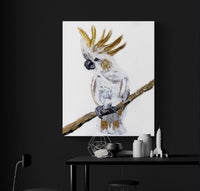 Cockatoo - Canvas Print