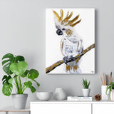 Cockatoo - Canvas Print