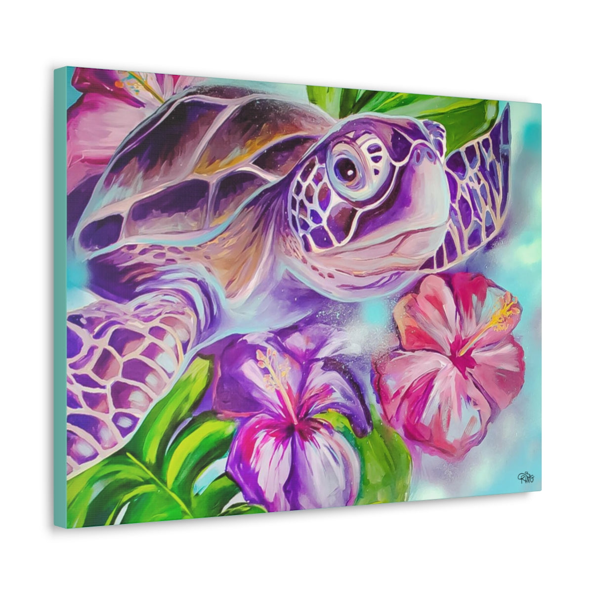 Splish - Canvas Print