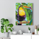 Toucan Sam - Canvas Print