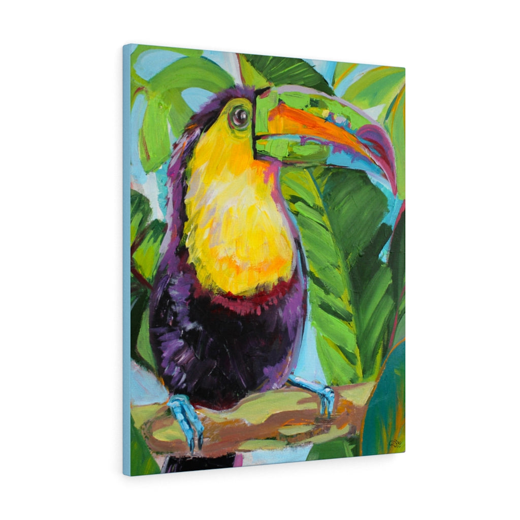 Toucan Sam - Canvas Print